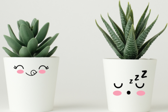 Pot Plant Face Decals: A Charming Graphic Design Asset for Crafts and Creative Projects